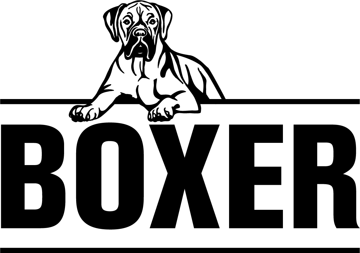 Logo sponsor 20
