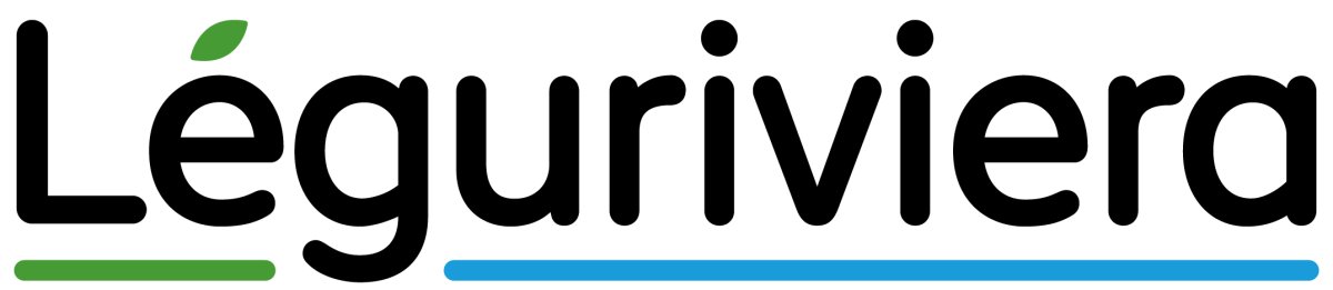 Logo sponsor 29